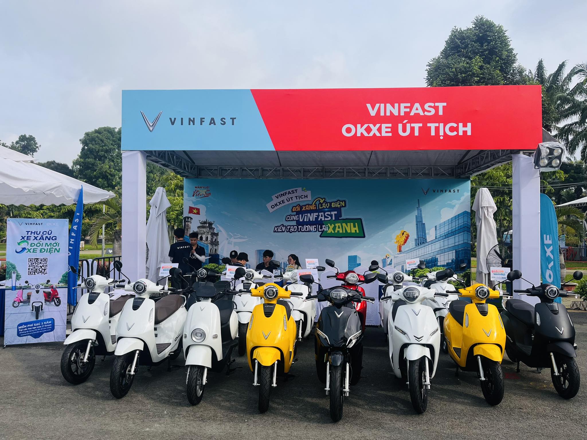 lĩnh vực hoạt động